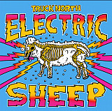 Truck North – Electric Sheep