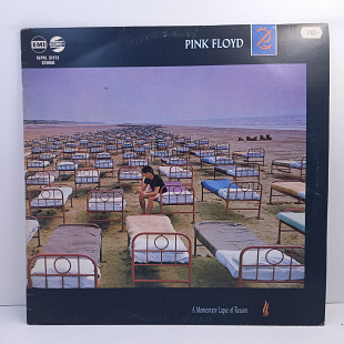 Pink Floyd – A Momentary Lapse Of Reason LP 12" (Прайс 31425)