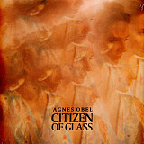 Agnes Obel – Citizen Of Glass (LP, Album, 180 Gram, Vinyl)