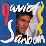 DAVID SANBORN «A Change Of Heart» ℗1987