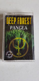 Deep Forest Pangea