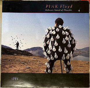 Pink Floyd - Delicate sound of thunder EMI 1988