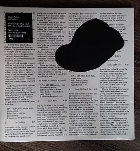 Owen Pallett – In Conflict