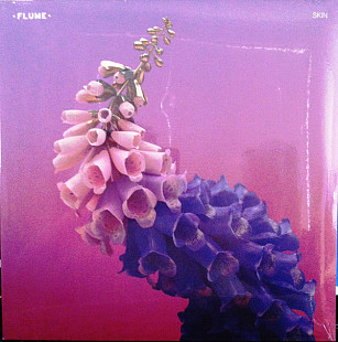 Flume ‎– Skin (2LP)