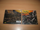 DISGORGE - Parallels Of Infinite Torture (2005 Crash Music, 1st press, USA)