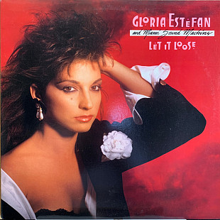 Gloria Estefan And Miami Sound Machine – Let It Loose ( USA )