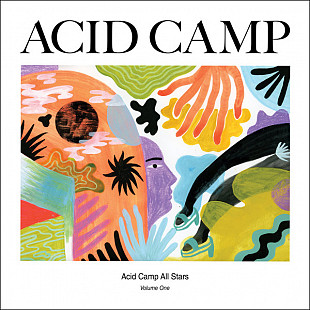 Various – Acid Camp All Stars Volume One -DJ VINYL