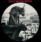 Current 93 – Dogs Blood Rising