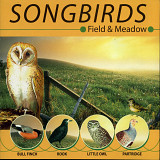 Songbirds ( ( USA )