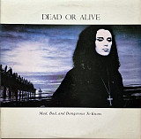 Dead Or Alive – Mad, Bad And Dangerous To Know /1986/