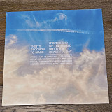 Thirty Seconds To Mars – It's The End Of The World But It's A Beautiful Day LP 12" (Прайс 41065)