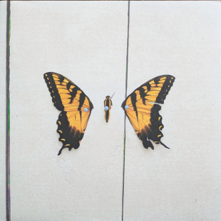 Вінілова платівка Paramore - Brand New Eyes 1LP (75678956133)