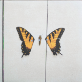 Вінілова платівка Paramore - Brand New Eyes 1LP (75678956133)