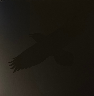 Вінілова платівка Sigur Rós - Odins Raven Magic (140 Gr Black) 2LP (190296827204)