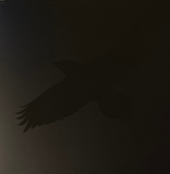 Вінілова платівка Sigur Rós - Odins Raven Magic (140 Gr Black) 2LP (190296827204)