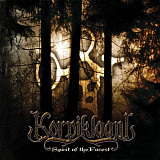 Korpiklaani – Spirit Of The Forest