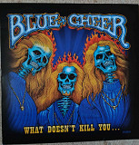 Blue Cheer – What Doesn't Kill You...