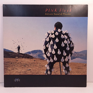 Pink Floyd – Delicate Sound Of Thunder 2LP 12" (Прайс 28995)