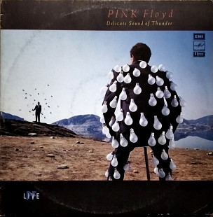 PINK FLOYD - Delicate Sound Of Thunder (2 пластинки)