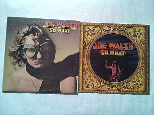 Joe Walsh 74 USA Embossed Cover Vinyl Nm-