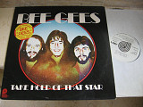 Bee Gees : Take Hold Of That Star ( USA) LP