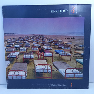 Pink Floyd – A Momentary Lapse Of Reason LP 12" (Прайс 43693)