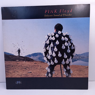 Pink Floyd – Delicate Sound Of Thunder 2LP 12" (Прайс 44283)