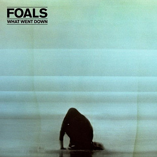 Вінілова платівка Foals – What Went Down