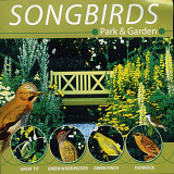 Songbirds: Park & Garden ( USA ) Співочі птахи: парк і сад