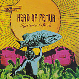 Head Of Femur – Hysterical Stars ( USA )