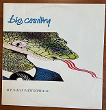 Big Country – Republican Party Reptile 1991, EP, 12", 45 RPM