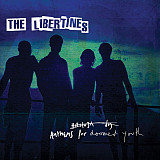 The Libertines – Anthems For Doomed Youth