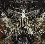 Architects – Ruin