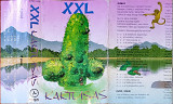 XXL (15) – Kaktusas