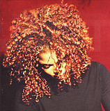 Janet Jackson – The Velvet Rope ( USA )