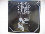 Adam Makowicz : Winter Flowers JAZZ LP ***