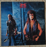 McAuley Schenker Group ‎– Perfect Timing