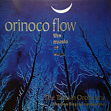 The Taliesin Orchestra – Orinoco Flow (The Music Of Enya) ( USA )