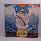 Steve Hillage – Fish Rising LP 12" (Прайс 44800)