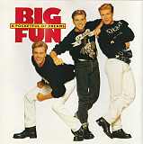 Big Fun ‎– A Pocketful Of Dreams ( USA )