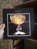 Jethro Tull – Live - Bursting Out (2LP), 1978 (концертный альбом, 1978), Chrysalis – 6641 873, Ge