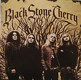 Black Stone Cherry – Black Stone Cherry ( USA )