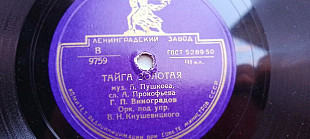 Виноградов Тайга золотая-Лирическая песня
