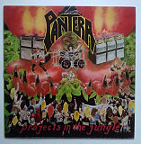 Pantera – Projects In The Jungle Lp 1 press