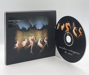 Amorphous Androgynous – The Isness (2002, U.K.)