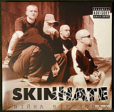 Вініл платівки Skinhate