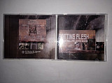 Продам фірмовий CD Rotting Flesh - Dreaming... The Underworld