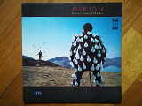 Пинк Флойд-Pink Floyd-Delicate sound of thunder (лам. конв.) (4)-2 LPs-Ex.+, Мелодія