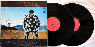 Pink Floyd -Delicate Sound Of Thunder- 2LP