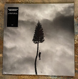 Manchester Orchestra – A Black Mile To The Surface – 2LP Silver